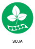 Soja