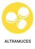 Altramuces