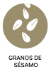 Sesamo